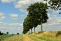 Beautiful landscape. Dirt road through the field and forest ahead. Royalty Free Stock Photo